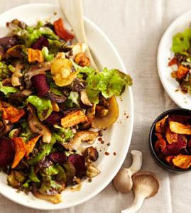 Kr�uterseitling Linsen Salat