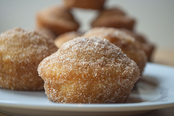 donut muffins