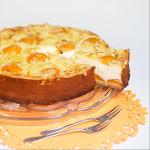 Apricosen Kaesetorte