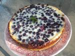 Blueberry kuchen